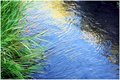 Stream at Sunset