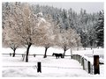 Locked into Winter