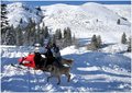Christmas Day Sled