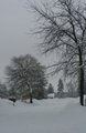 IMG_8281 
