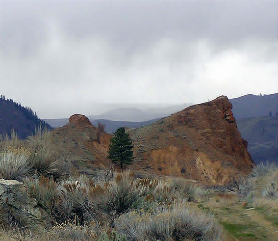 Cascade Rain.jpg