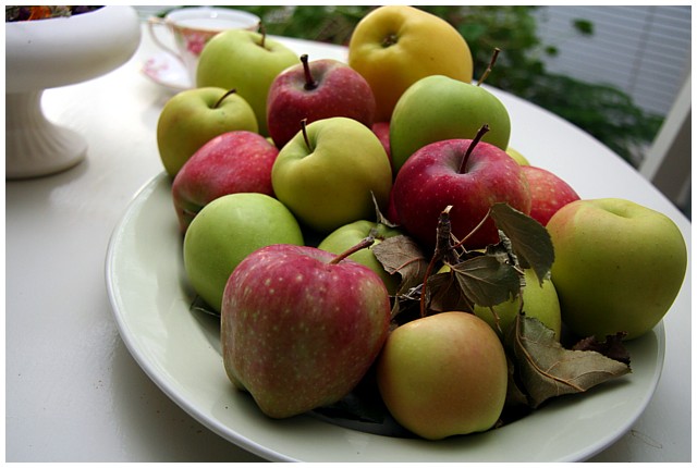 Neighbor Jim's Apples