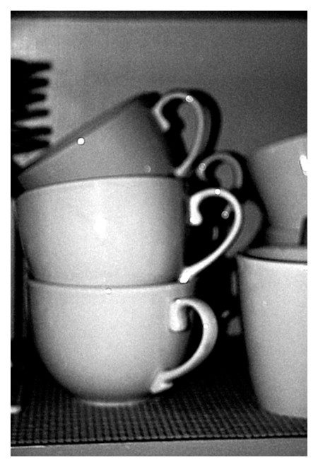 Cupboard   Day 3