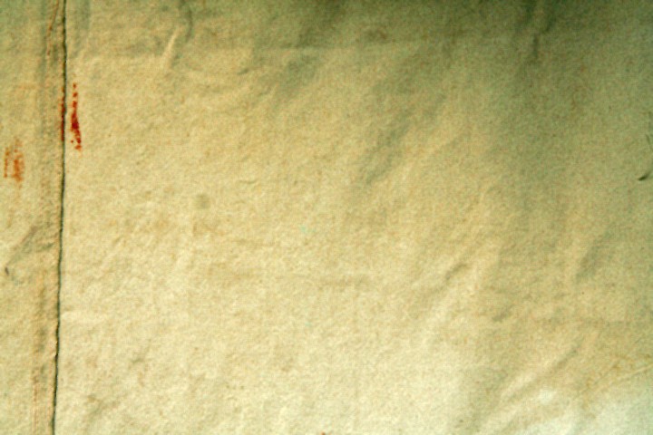 Canvas 004.jpg