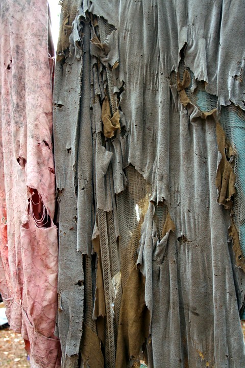 Cloth 002