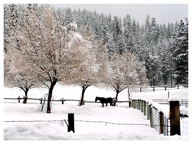 Locked into Winter