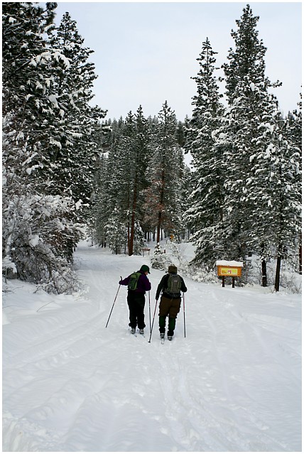 Cross Country Exercise