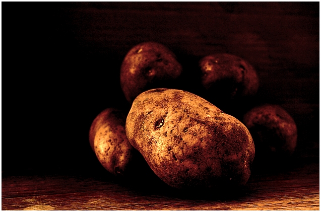 Spuds  Day 19