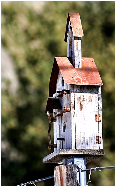Birdchurch