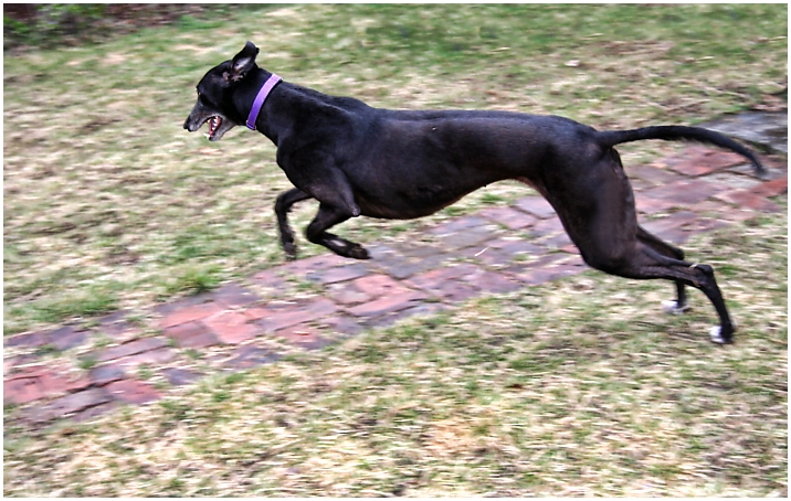 Running 