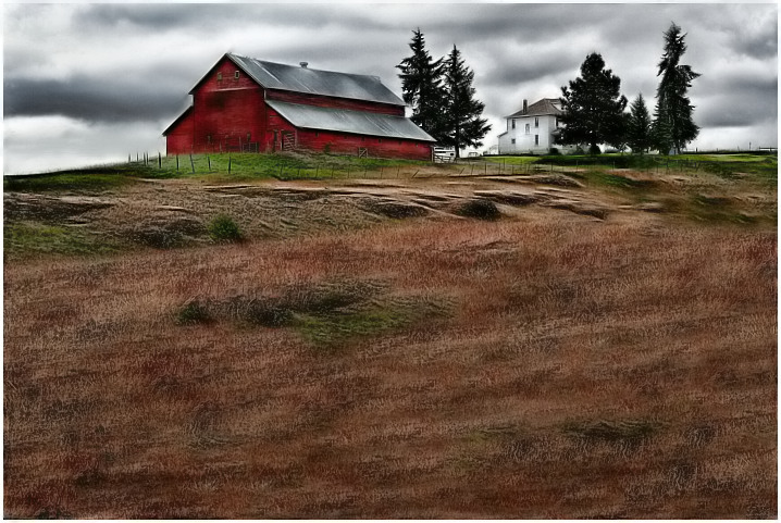 Wheat Farm...from 'overlooking the bluff' 