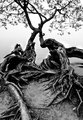 Grasping the Shore