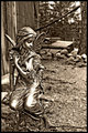 "Watchful Woods Faerie"