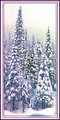 "Christmas Forest"