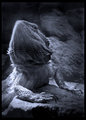 "Thoughtful Dragon" - in blue