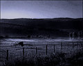 "Foggy evening on the farm"