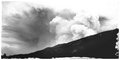 "Strawberry Hills a la Smoke"