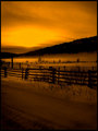 "Sullivan Valley" in gold