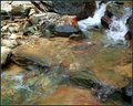 "Nature's Subtle Pallette"