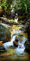 "Silver Creek"