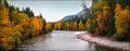 "Adams River"