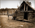 "Shed Remains" - Sepia