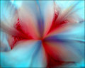 "Vivid"