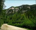 "Road to Greenness"