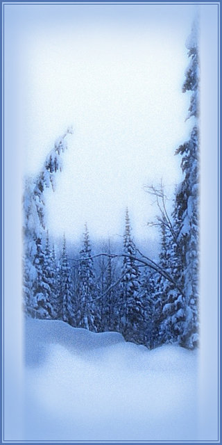 "Blue Chill" 2