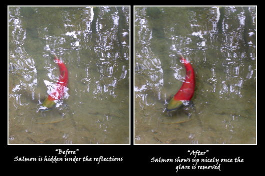 "Sockeye Retouch"