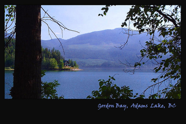 "Gordon Bay"