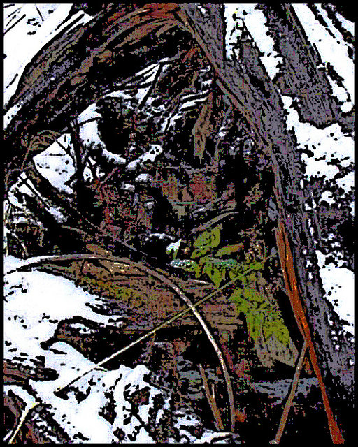 "Nestled in for Winter"