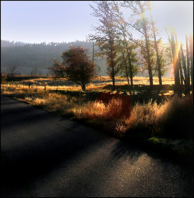 "Bright 'n' Early"