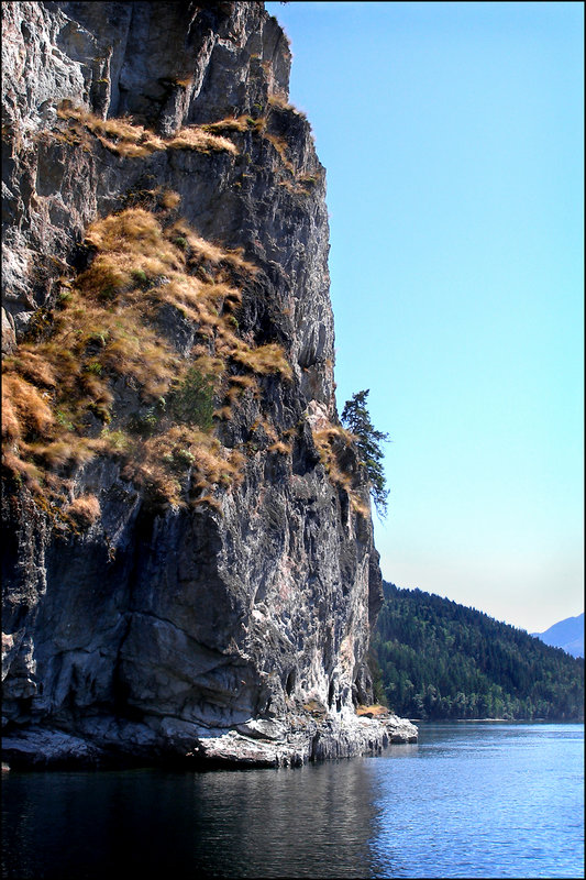 "Grassy Cliffs"
