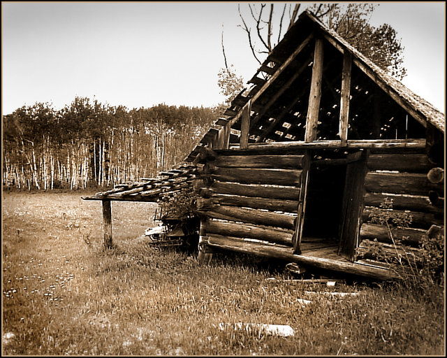 "Shed Remains" - Sepia