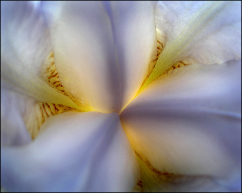 "Delicate"