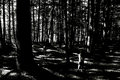 lost