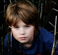 reeds