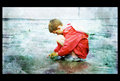 boy on the beach