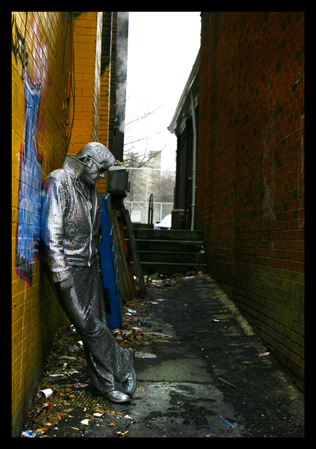 alley cat
