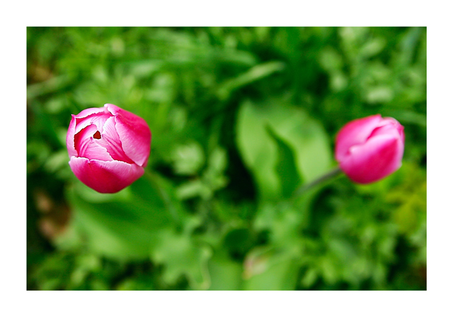 two