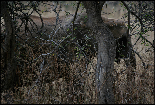 hidden