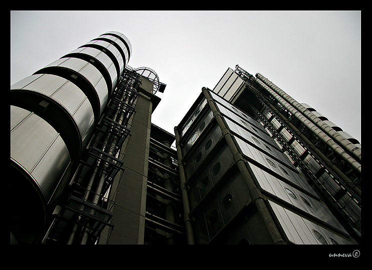 Lloyd's
