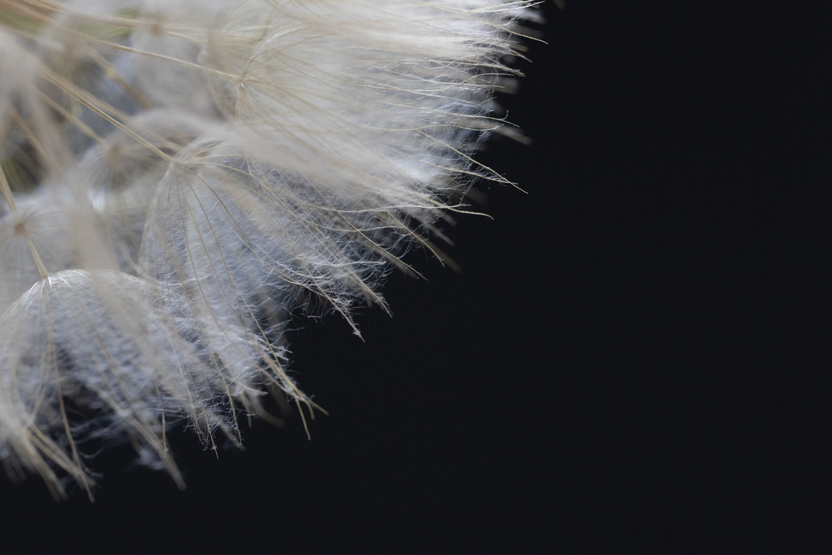 resize153A4235-Edit