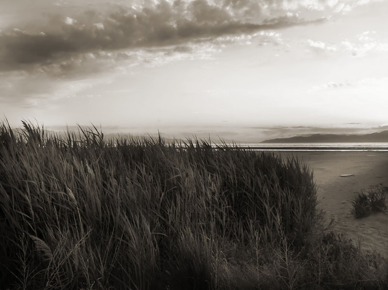 sand at sunset