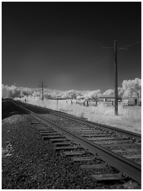 tracks.jpg