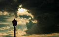Light