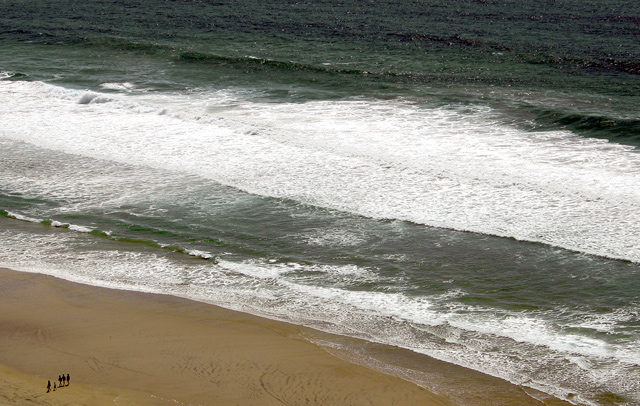 Torrey Pines Beach