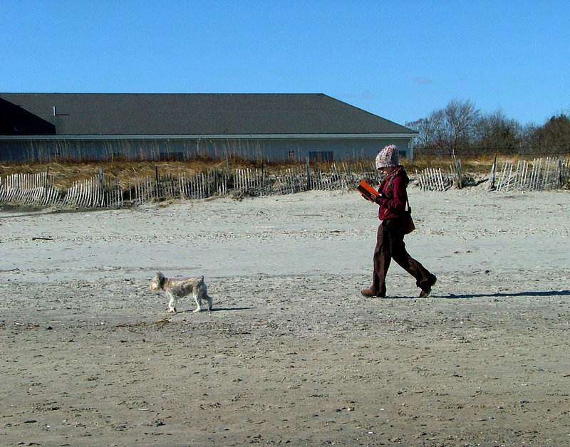 go for a walk or read? how about both...