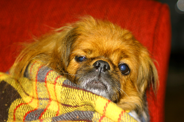 Let me sleep
